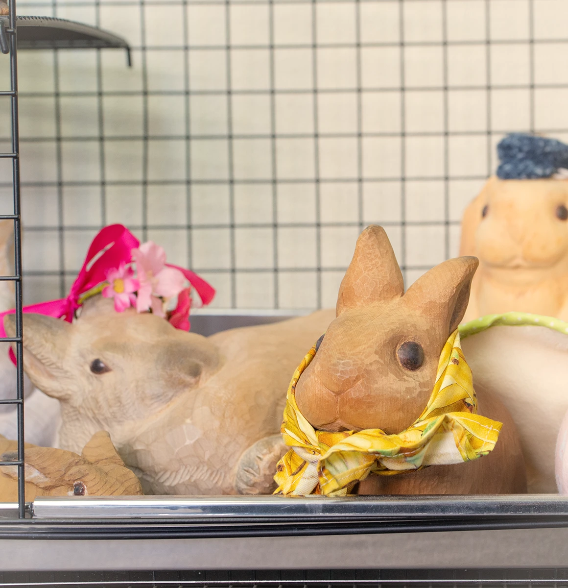 暮らしの中の作品　ケージ