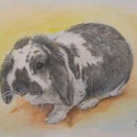 ブロークンブルー ブロークンブルー