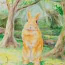 森のうさぎさん 森のうさぎさん