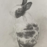 うさぎさんの鉛筆デッサン