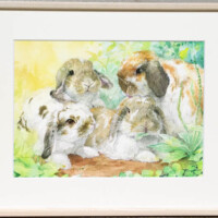 ※オーダーメイド品です。 ※オーダーメイド品です。